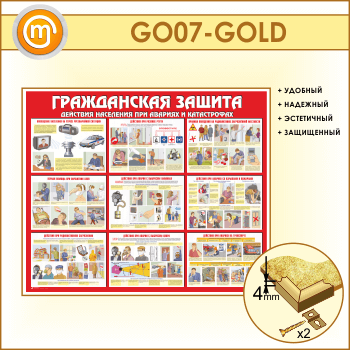    (GO-07-GOLD)